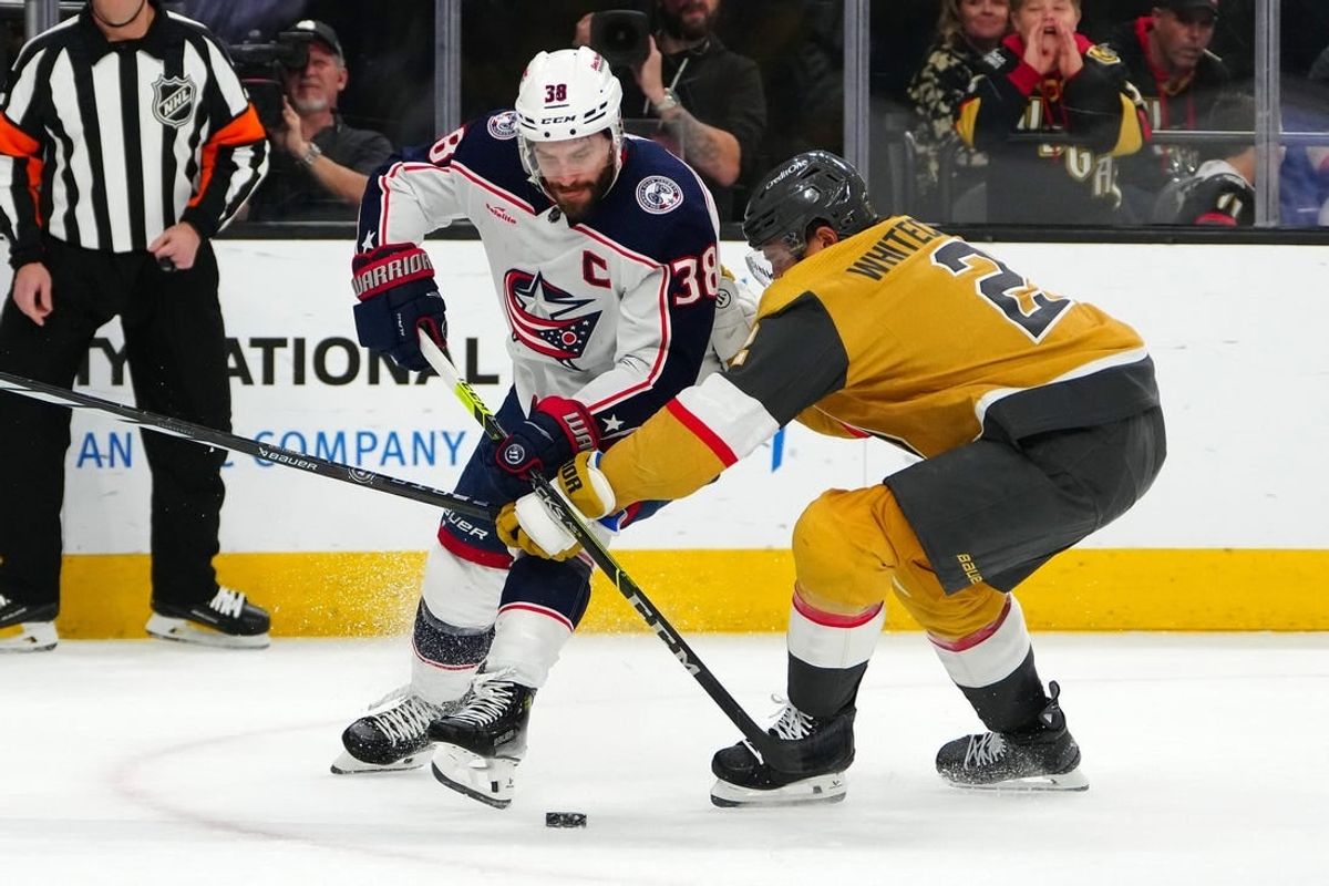 Mar 23, 2024; Las Vegas, Nevada, USA; Vegas Golden Knights defenseman Zach Whitecloud (2) breaks up a scoring attempt during the first period at T-Mobile Arena.