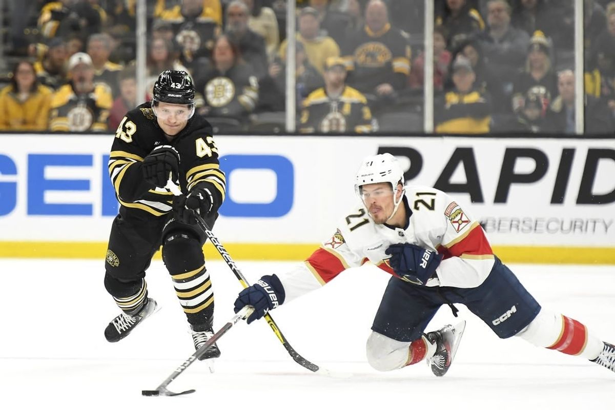 Apr 6, 2024; Boston, Massachusetts, USA; Florida Panthers center Nick Cousins (21) pokes the puck away from Boston Bruins center Danton Heinen (43) during the first period at TD Garden.