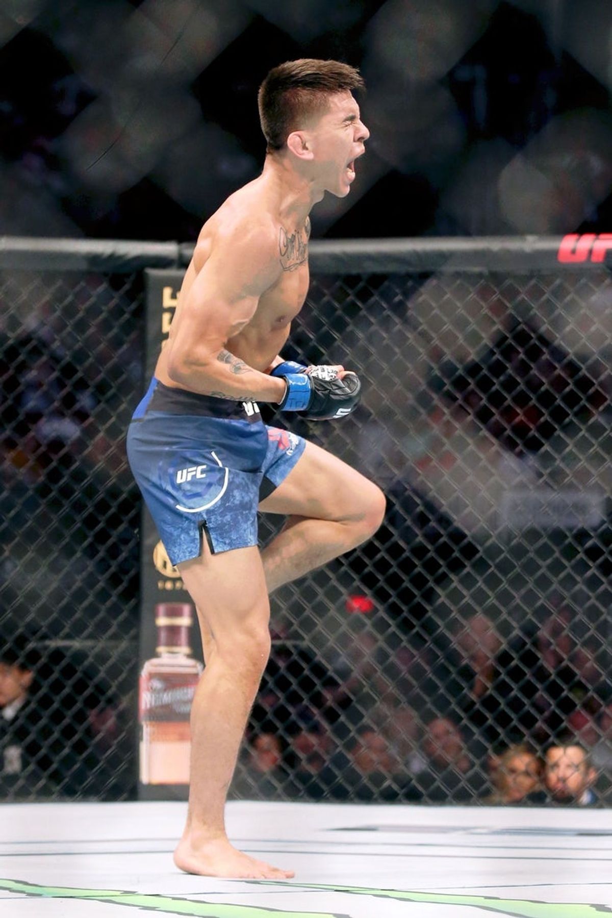 Feb 8, 2020; Houston, Texas, USA; Mario Bautista (blue gloves) after his win against Miles Johns (not pictured) during UFC 247 at Toyota Center. Mandatory Credit: Thomas Shea-Imagn Images