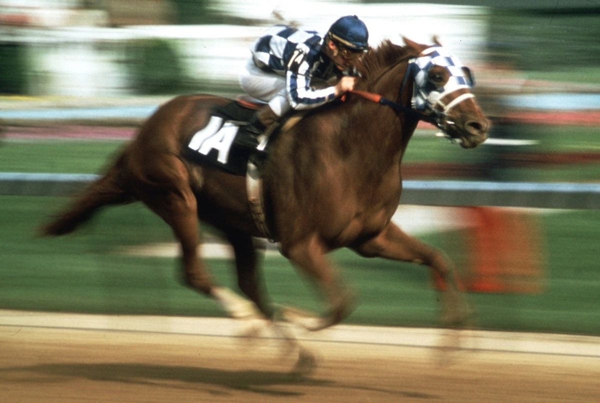 Jockey Ron Turcotte guides Secretariat toward the finish line to win the 1973 Kentucky Derby.

Secretariat