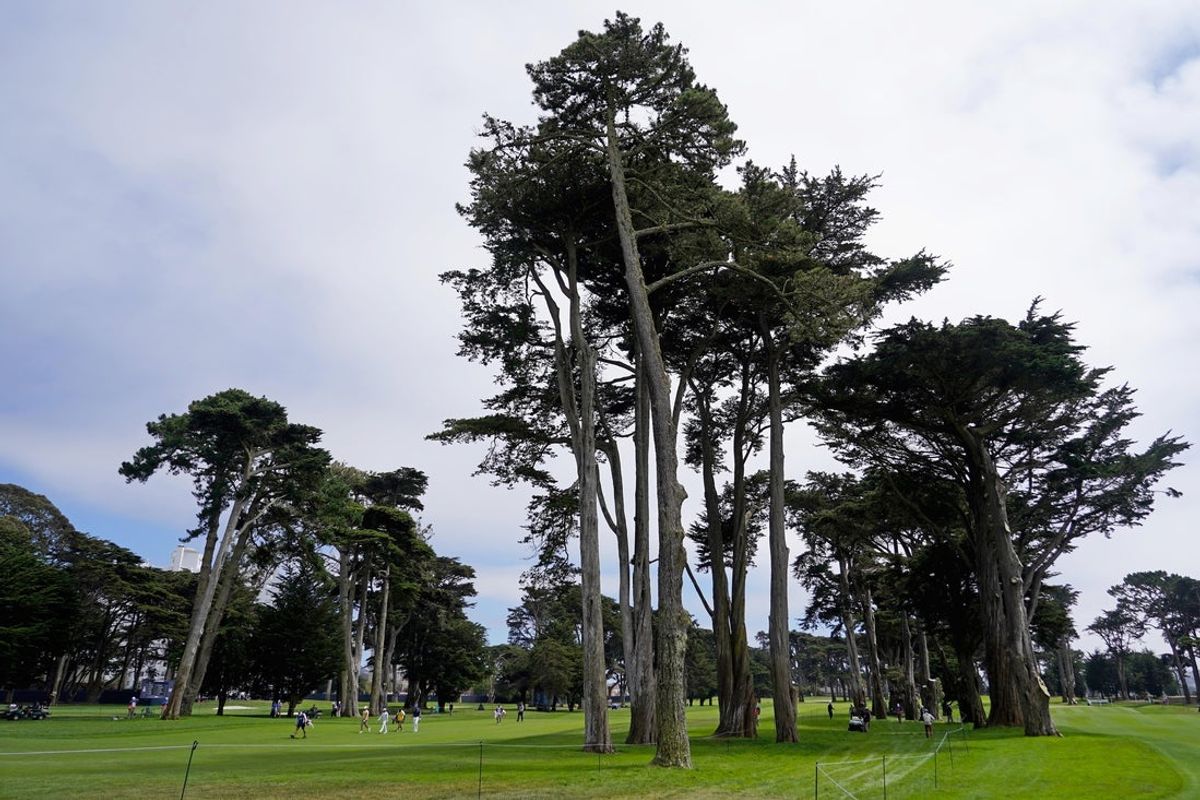 Adam Scott, pictured walking up the fairway with Rickie Fowler and Bryson DeChambeau at the 2020 PGA Championship at TPC Harding Park. Mandatory Credit: Kyle Terada-Imagn Images