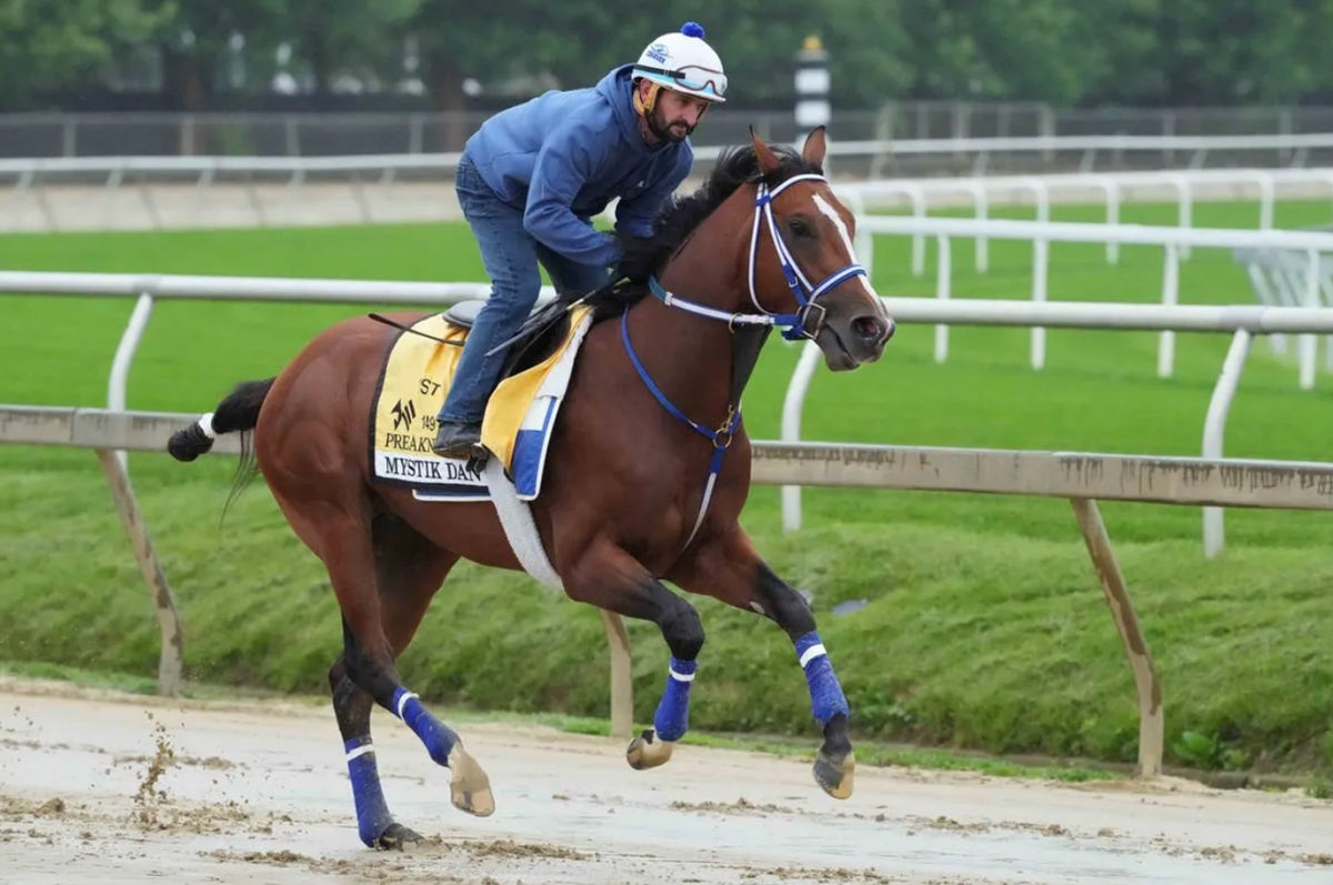 May 15, 2024; Baltimore, Maryland, USA; Mystik Dan exercises this morning with rider Robbie Alvarado at Pimlico Race Course. Mandatory Credit: Mitch Stringer-USA TODAY Sports