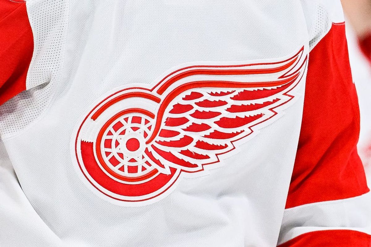 Apr 4, 2023; Montreal, Quebec, CAN; View of a Detroit Red Wings logo on a jersey worn by a member of the team against the Montreal Canadiens during the third period at Bell Centre. Mandatory Credit: David Kirouac-USA TODAY Sports
