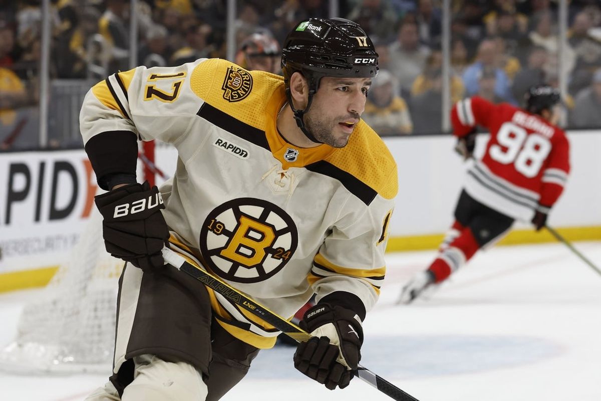 Oct 11, 2023; Boston, Massachusetts, USA; Boston Bruins left wing Milan Lucic (17) during the second period against the Chicago Blackhawks at TD Garden. Mandatory Credit: Winslow Townson-Imagn Images