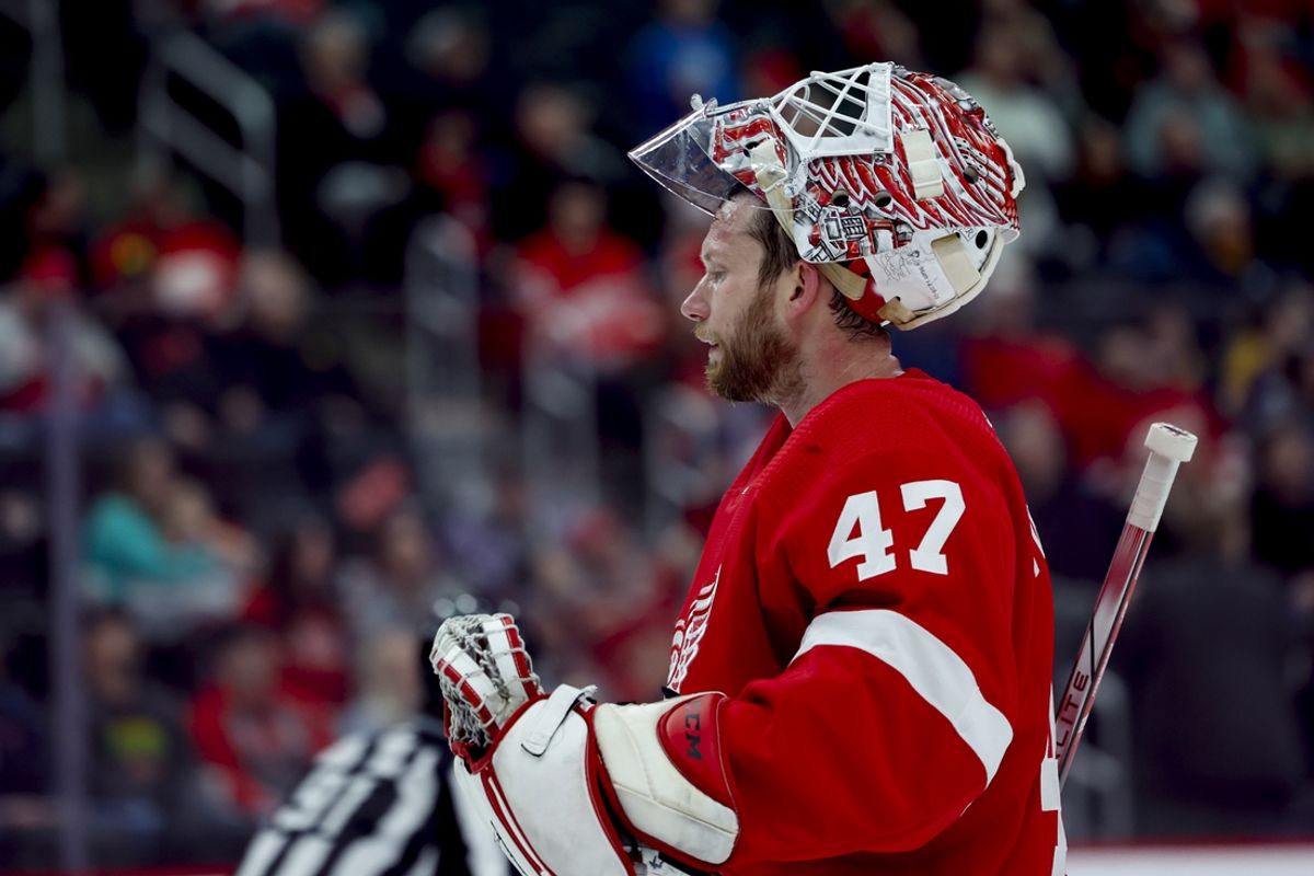 Mar 16, 2024; Detroit, Michigan, USA;  Detroit Red Wings goaltender James Reimer (47) looks on during a time out in the third period against the Buffalo Sabres at Little Caesars Arena. Mandatory Credit: Rick Osentoski-Imagn Images