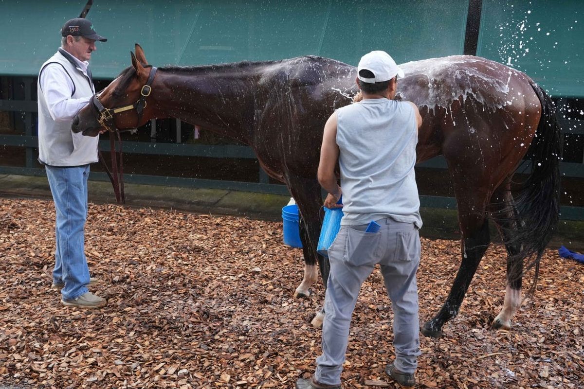 May 13, 2024; Baltimore, Maryland, USA; Kentucky Derby winner Mystik Dan gets a post exercise bath this morning with assistant trainer Ray Bryner (left) and groomer Oswaldo Rafael (right) at Pimlico Race Course. Mandatory Credit: Mitch Stringer-USA TODAY Sports