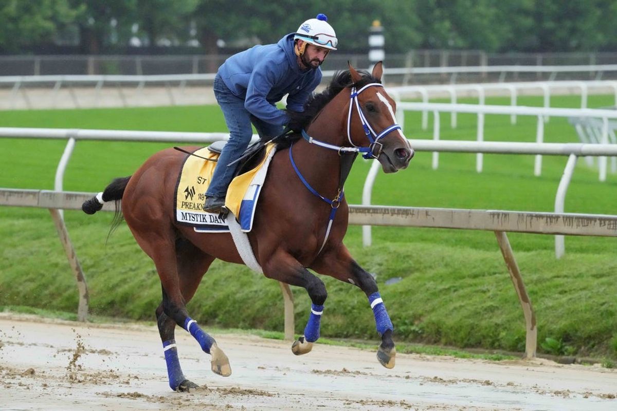 May 15, 2024; Baltimore, Maryland, USA; Mystik Dan exercises this morning with rider Robbie Alvarado at Pimlico Race Course. Mandatory Credit: Mitch Stringer-USA TODAY Sports