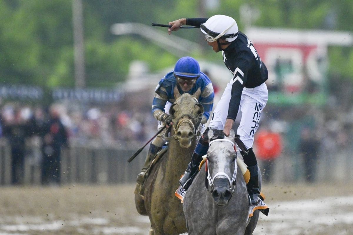 May 18, 2024; Baltimore, Maryland, USA;  Jamie Torres aboard Seize the Grey (6) reacts after winging the running of the 149th Preakness Stakes at Pimlico Race Course. Mandatory Credit: Tommy Gilligan-USA TODAY Sports