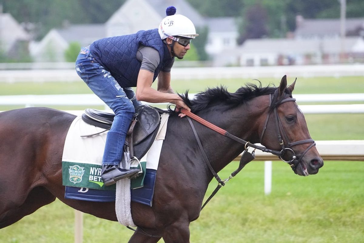 Jun 6, 2024; Saratoga Springs, NY, USA;  Belmont stakes contender Sierra Leone trains Thursday morning at the Oklahoma Training track. Mandatory Credit: Gregory Fisher-USA TODAY Sports