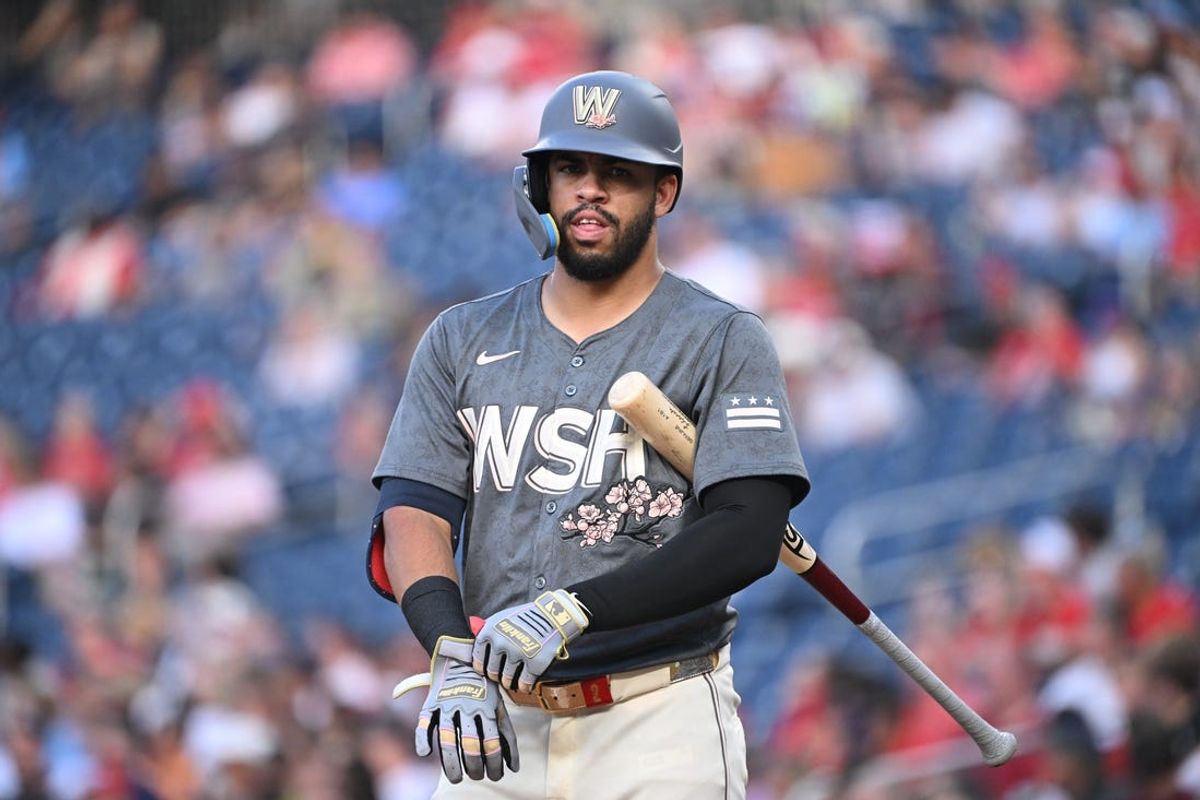 Jul 5, 2024; Washington, District of Columbia, USA; Washington Nationals second baseman Luis Garcia Jr. (2) walk up to home plate for an at bat against the St. Louis Cardinals during the first inning at Nationals Park. Mandatory Credit: Rafael Suanes-USA TODAY Sports