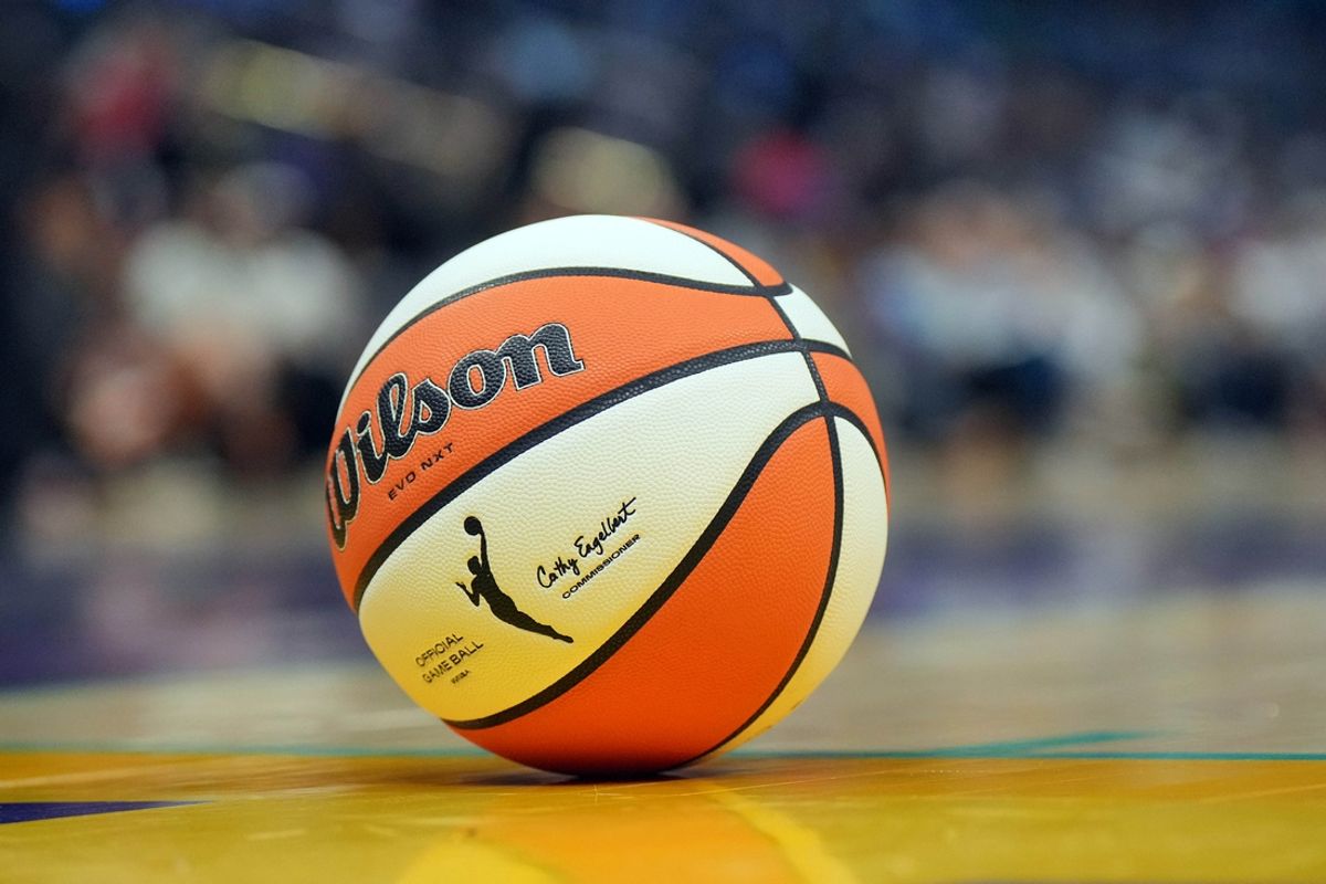 Jul 9, 2024; Los Angeles, California, USA; Detailed view of Wilson official WNBA Evo NXT basketball at Crypto.com Arena. Mandatory Credit: Kirby Lee-USA TODAY Sports