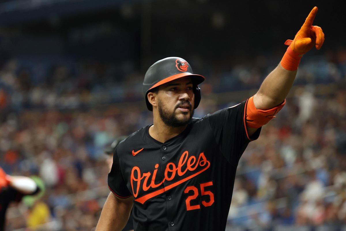 Aug 11, 2024; St. Petersburg, Florida, USA;  Baltimore Orioles outfielder Anthony Santander (25) celebrates after he hit a home run during the fourth inning against the Tampa Bay Rays at Tropicana Field. Mandatory Credit: Kim Klement Neitzel-Imagn Images