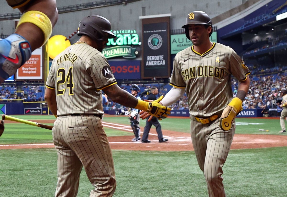 Sep 1, 2024; St. Petersburg, Florida, USA;  San Diego Padres third base Tyler Wade (14) is congratulated by outfielder David Peralta (24) after he scored a run against the Tampa Bay Rays during the ninth inning at Tropicana Field. Mandatory Credit: Kim Klement Neitzel-USA TODAY Sports