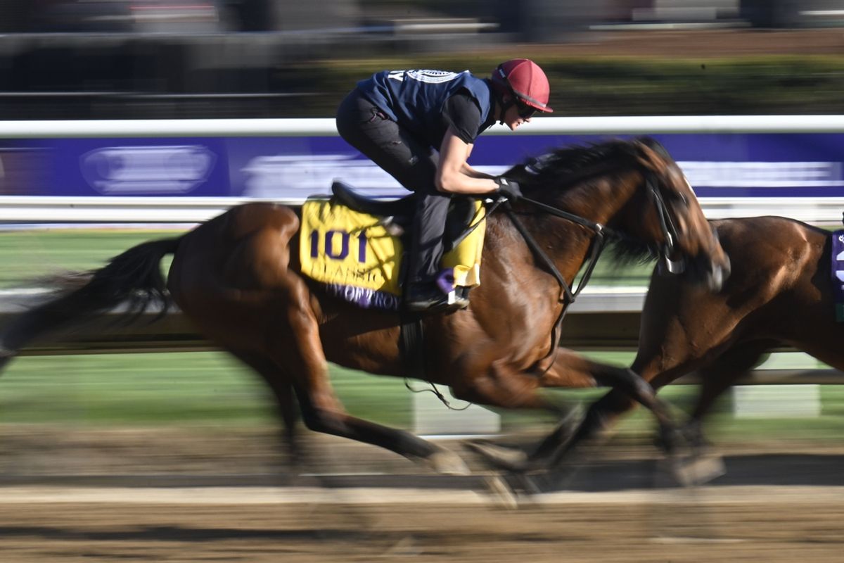 Oct 31, 2024; Del Mar, CA, USA; City of Troy trains ahead of the 2024 Breeders' Cup Championship at Del Mar Thoroughbred Club. Mandatory Credit: Denis Poroy-Imagn Images