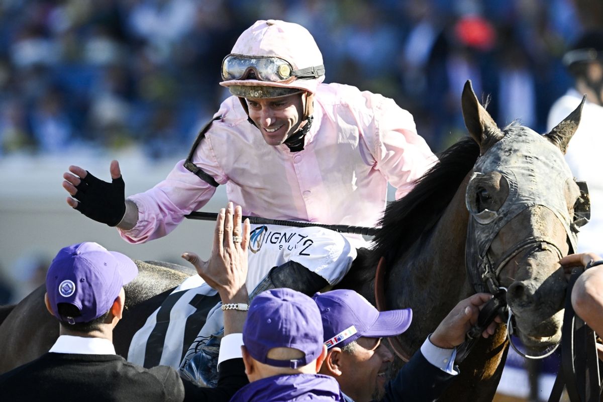 Nov 2, 2024; Del Mar, CA, USA; Flavien Prat is congratulated after winning the the Breeder’s Cup Classic aboard Seirra Leone during the 2024 Breeders' Cup Championship at Del Mar Thoroughbred Club. Mandatory Credit: Denis Poroy-Imagn Images