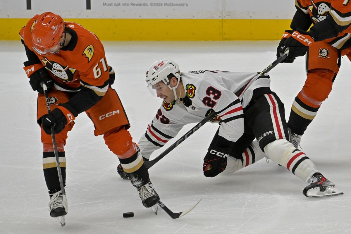 Nov 3, 2024; Anaheim, California, USA;  Anaheim Ducks left wing Cutter Gauthier (61) and Chicago Blackhawks center Philipp Kurashev (23) go for the puck in the second period at Honda Center. Mandatory Credit: Jayne Kamin-Oncea-Imagn Images