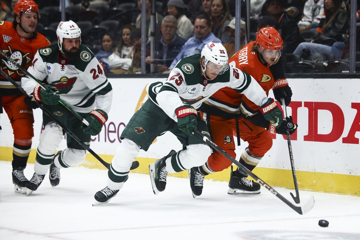 Nov 8, 2024; Anaheim, California, USA; Minnesota Wild defenseman Jonas Brodin (25) battles for the puck against Anaheim Ducks right wing Troy Terry (19) during the second period of a hockey game at Honda Center. Mandatory Credit: Jessica Alcheh-Imagn Images