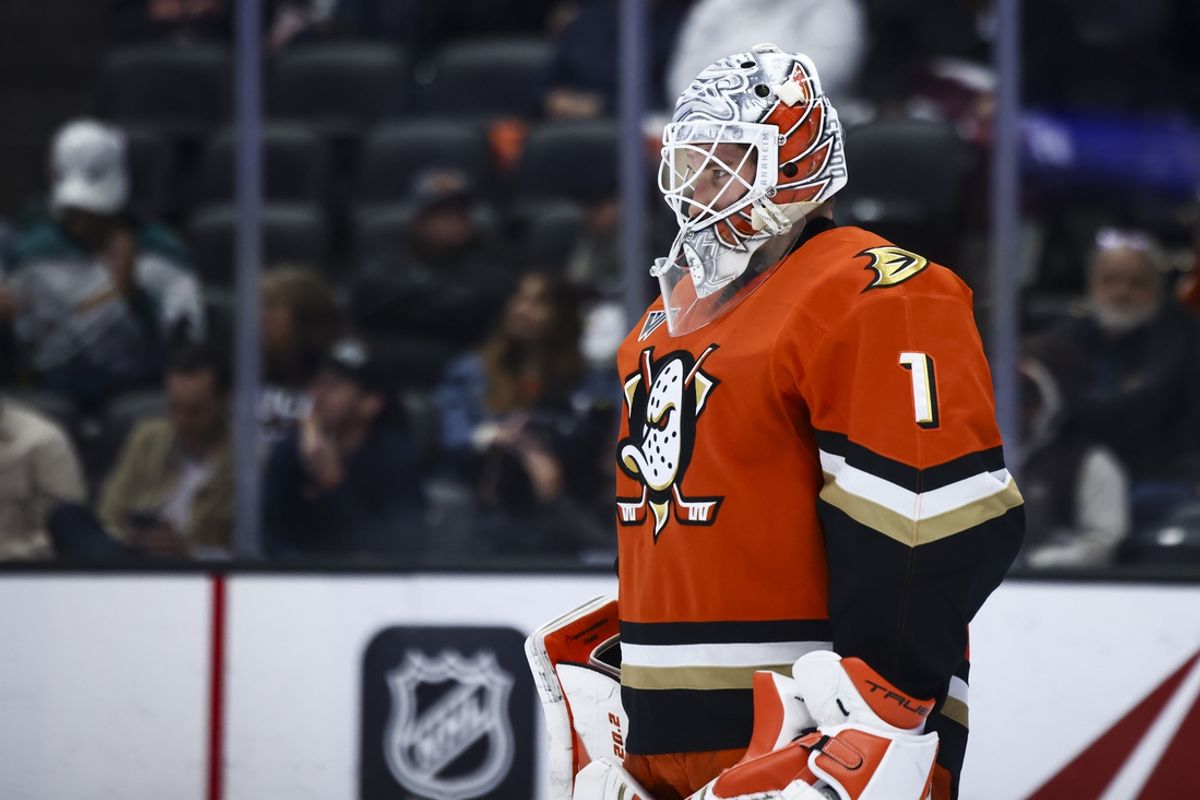Nov 8, 2024; Anaheim, California, USA; Anaheim Ducks goaltender Lukas Dostal (1) looks on during the third period of a hockey game against the Minnesota Wild at Honda Center. Mandatory Credit: Jessica Alcheh-Imagn Images