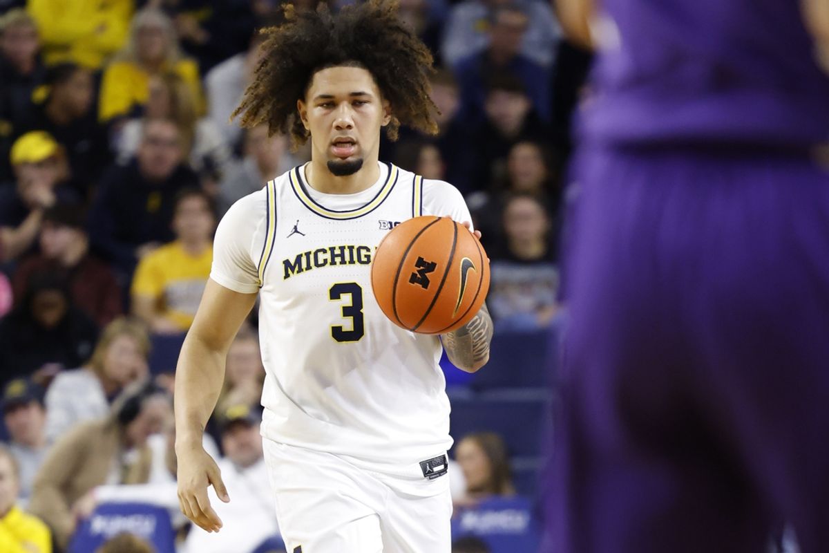 Nov 15, 2024; Ann Arbor, Michigan, USA;  Michigan Wolverines guard Tre Donaldson (3) dribbles in the first half against the TCU Horned Frogs at Crisler Center. Mandatory Credit: Rick Osentoski-Imagn Images