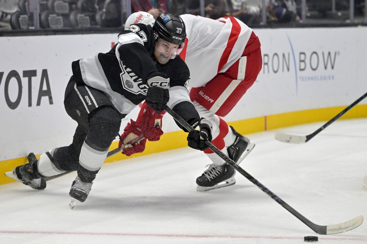 Nov 16, 2024; Los Angeles, California, USA; Los Angeles Kings left wing Warren Foegele (37) and Detroit Red Wings defenseman Justin Holl (3) battle for the puck in the second period at Crypto.com Arena. Mandatory Credit: Jayne Kamin-Oncea-Imagn Images