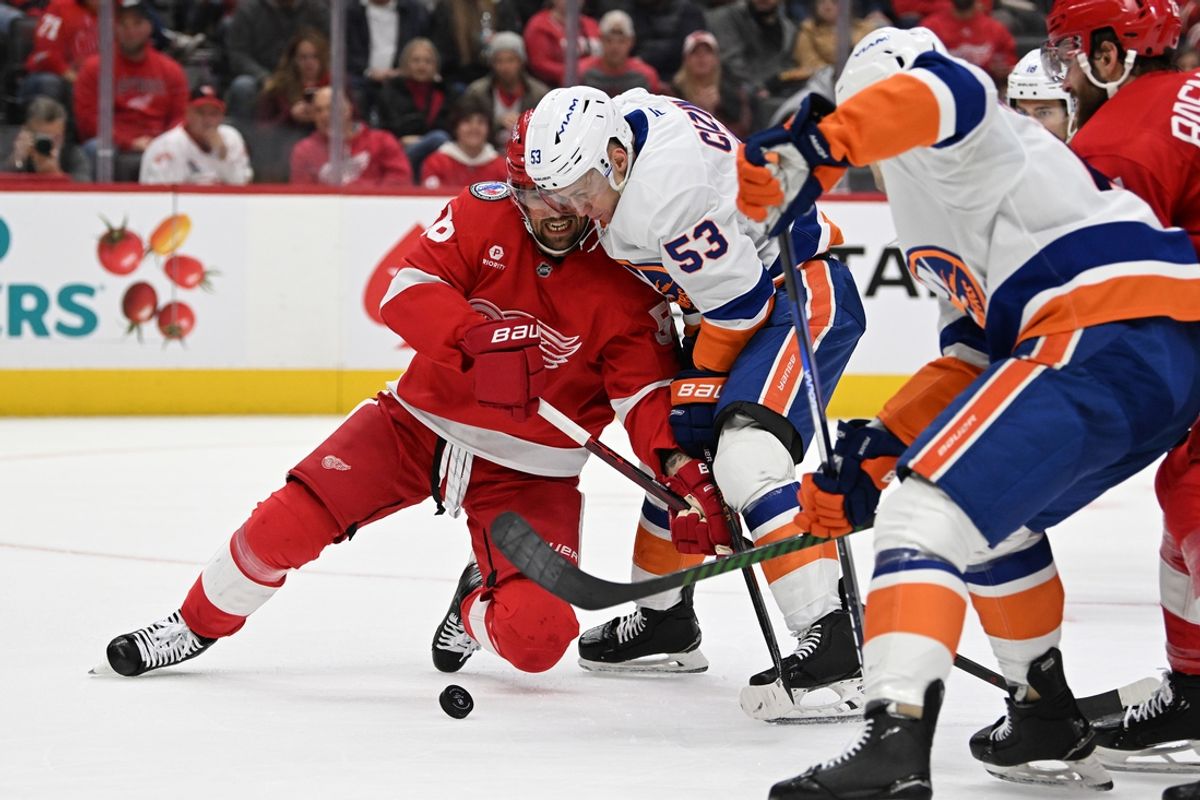 Nov 21, 2024; Detroit, Michigan, USA;  Detroit Red Wings defenseman Erik Gustafsson (56) and New York Islanders center Casey Cizikas (53) battle for the puck in the first period at Little Caesars Arena. Mandatory Credit: Lon Horwedel-Imagn Images