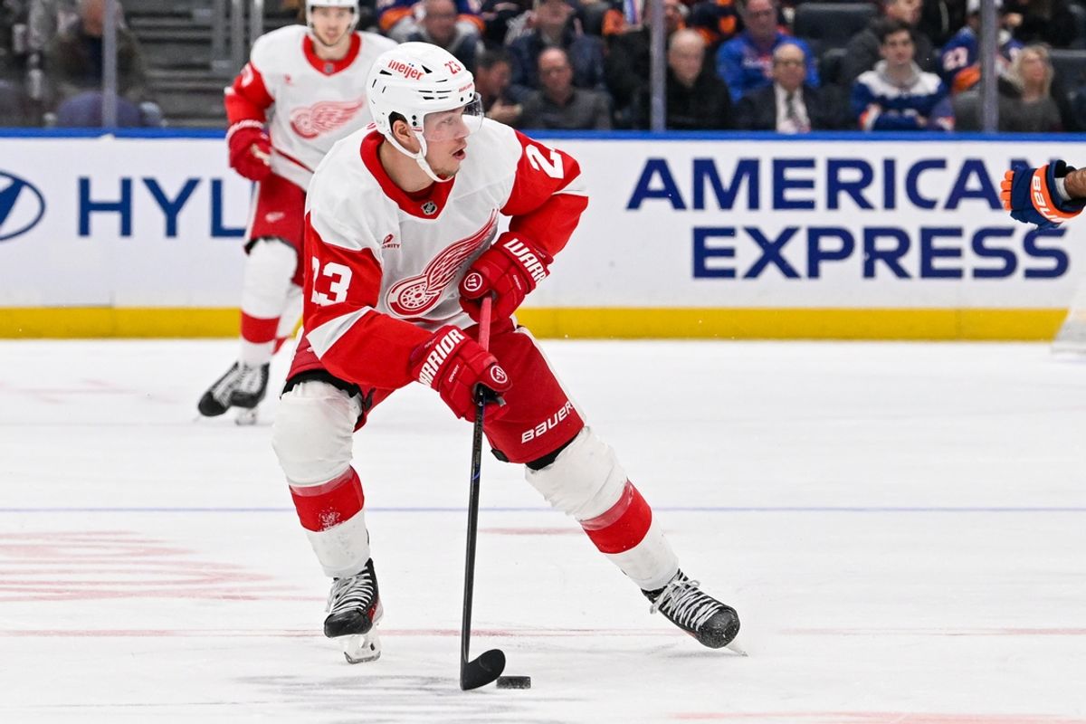 Nov 25, 2024; Elmont, New York, USA;  Detroit Red Wings left wing Lucas Raymond (23) skates across center ice against the New York Islanders during the second period at UBS Arena. Mandatory Credit: Dennis Schneidler-Imagn Images