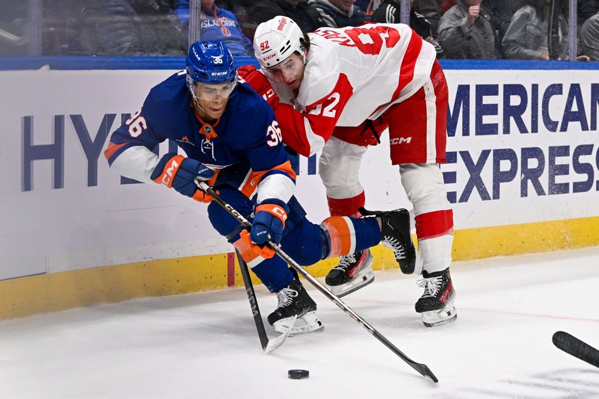 Nov 25, 2024; Elmont, New York, USA;  Detroit Red Wings center Marco Kasper (92) checks New York Islanders defenseman Isaiah George (36) during the third period at UBS Arena. Mandatory Credit: Dennis Schneidler-Imagn Images