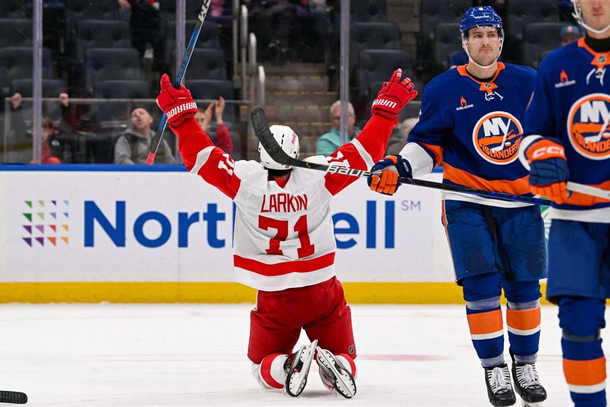 Nov 25, 2024; Elmont, New York, USA;  Detroit Red Wings center Dylan Larkin (71) celebrates his goal against the New York Islanders during the third period at UBS Arena. Mandatory Credit: Dennis Schneidler-Imagn Images
