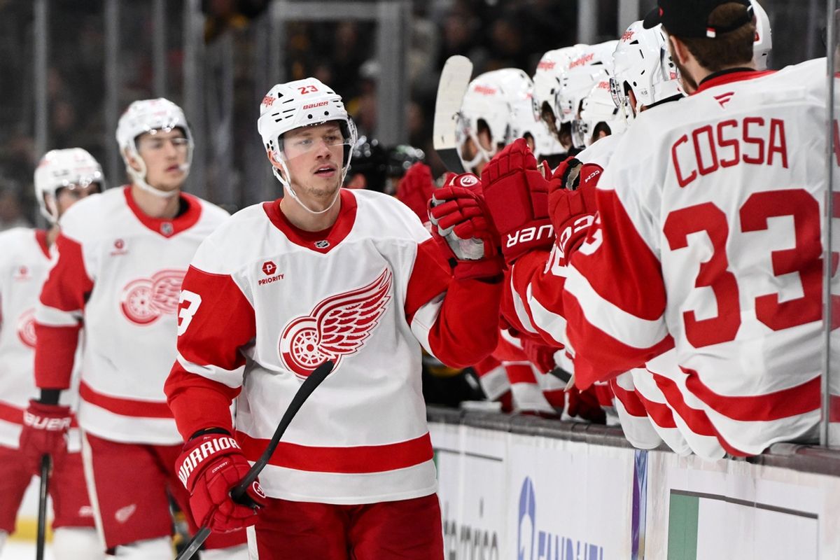 Dec 3, 2024; Boston, Massachusetts, USA; Detroit Red Wings left wing Lucas Raymond (23) celebrates with his teammates after scoring a goal against the Boston Bruins during the first period at the TD Garden. Mandatory Credit: Brian Fluharty-Imagn Images