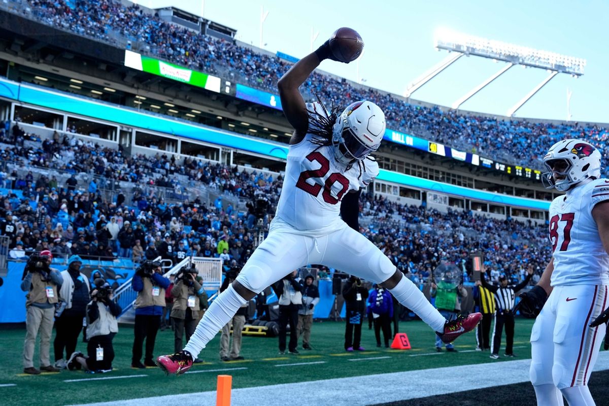 Dec 22, 2024; Charlotte, North Carolina, USA; Arizona Cardinals running back DeeJay Dallas (20) reacts after scoring a touchdown in the second quarter at Bank of America Stadium. Mandatory Credit: Bob Donnan-Imagn Images