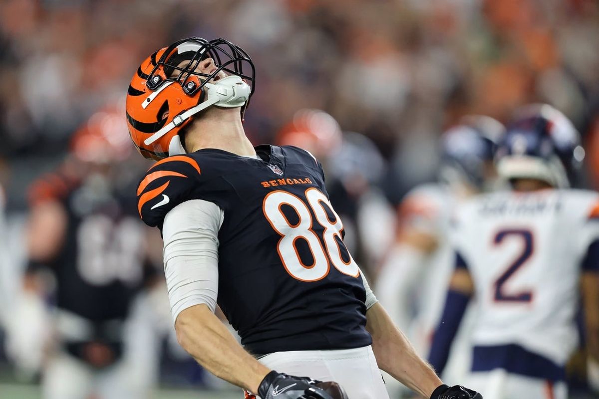 Dec 28, 2024; Cincinnati, Ohio, USA; Cincinnati Bengals tight end Mike Gesicki (88) reacts after catching a first down pass in overtime against the Denver Broncos at Paycor Stadium. Mandatory Credit: Joseph Maiorana-Imagn Images