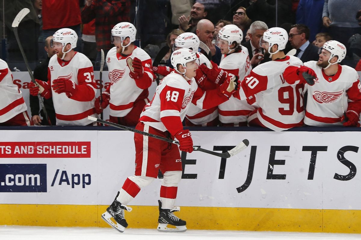Jan 2, 2025; Columbus, Ohio, USA; Detroit Red Wings right wing Jonatan Berggren (48) celebrates his goal against the Columbus Blue Jackets during the third period at Nationwide Arena. Mandatory Credit: Russell LaBounty-Imagn Images