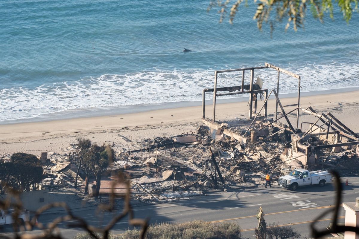 A dolphin plays in the water as destroyed homes are seen along the coast in the Pacific Palisades neighborhood of Los Angeles on Jan. 10, 2025. Five wildfires remained active in Los Angeles County, scorching more than 36,000 acres or about 56 square miles, an area about the size of Miami, according to Cal Fire. The largest blaze, the Palisades Fire, which ranks as the most destructive in Los Angeles history, scorched over 20,000 acres, including picturesque coastal enclaves between Santa Monica and Malibu.