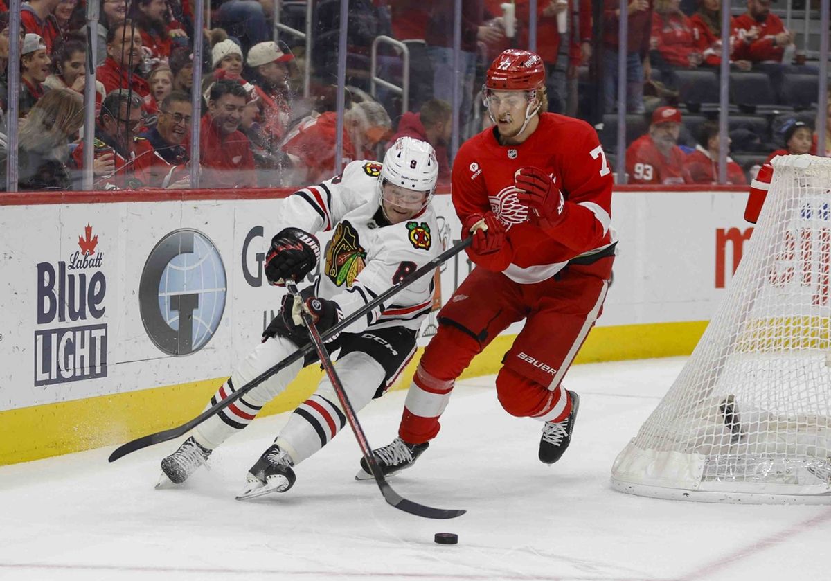 Jan 10, 2025; Detroit, Michigan, USA; Chicago Blackhawks center Ryan Donato (8) fights for control of the puck with Detroit Red Wings defenseman Simon Edvinsson (77) during the first period at Little Caesars Arena. Mandatory Credit: Brian Bradshaw Sevald-Imagn Images
