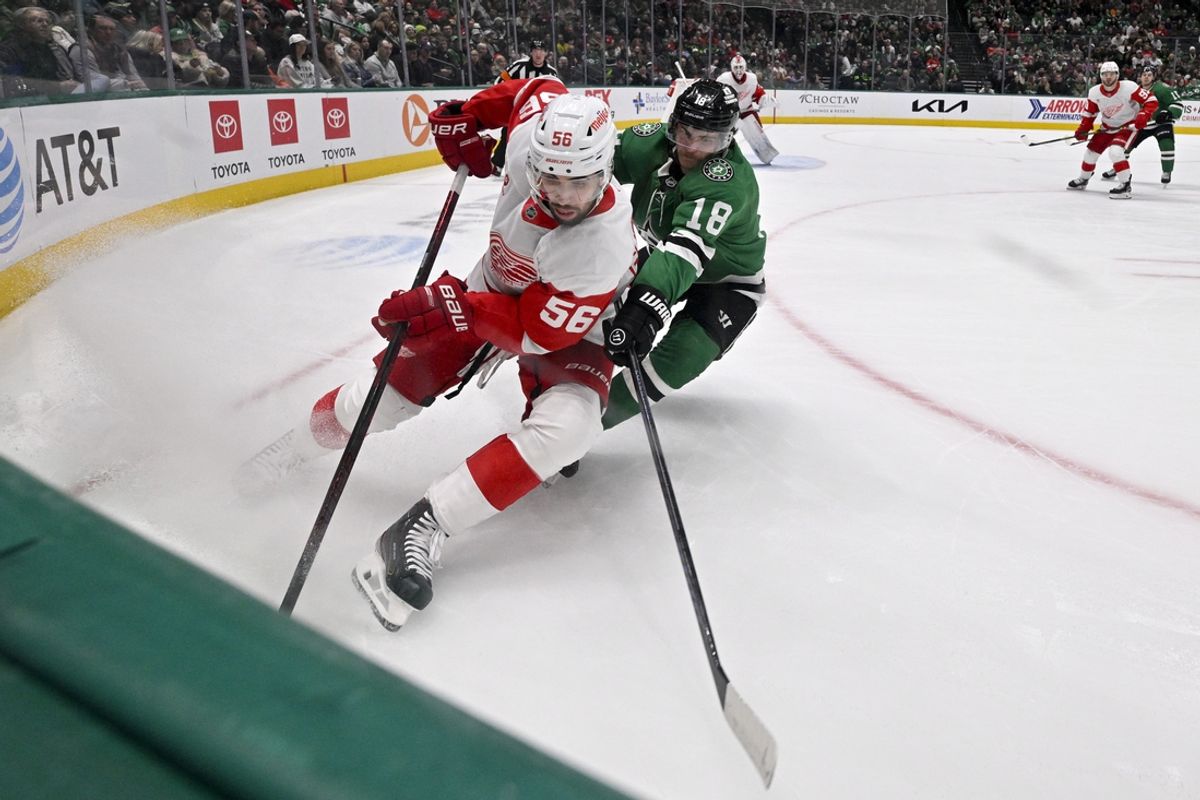 Jan 19, 2025; Dallas, Texas, USA; Detroit Red Wings defenseman Erik Gustafsson (56) and Dallas Stars center Sam Steel (18) chase the puck in the Detroit zone during the second period at the American Airlines Center. Mandatory Credit: Jerome Miron-Imagn Images