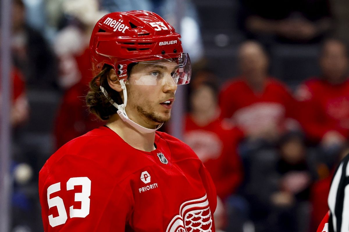 Jan 25, 2025; Detroit, Michigan, USA;  Detroit Red Wings defenseman Moritz Seider (53) looks on in the third period against the Tampa Bay Lightning at Little Caesars Arena. Mandatory Credit: Rick Osentoski-Imagn Images