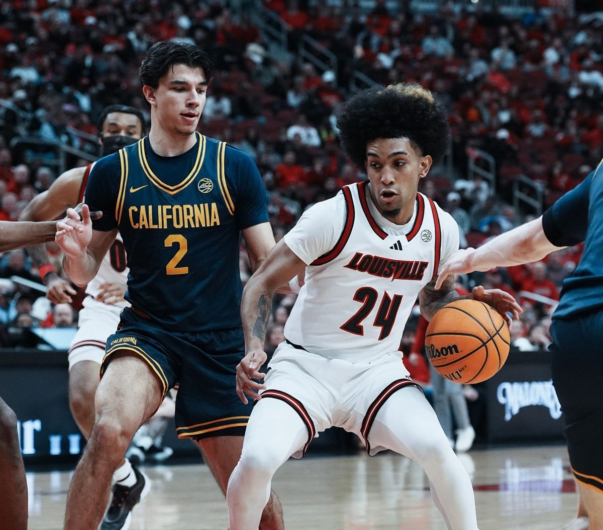 Louisville guard Chucky Hepburn (24) drives against California's Andrej Stojakovic (2) during their game at the KFC Yum! Center in Louisville, Ky. on Mar. 5, 2025.