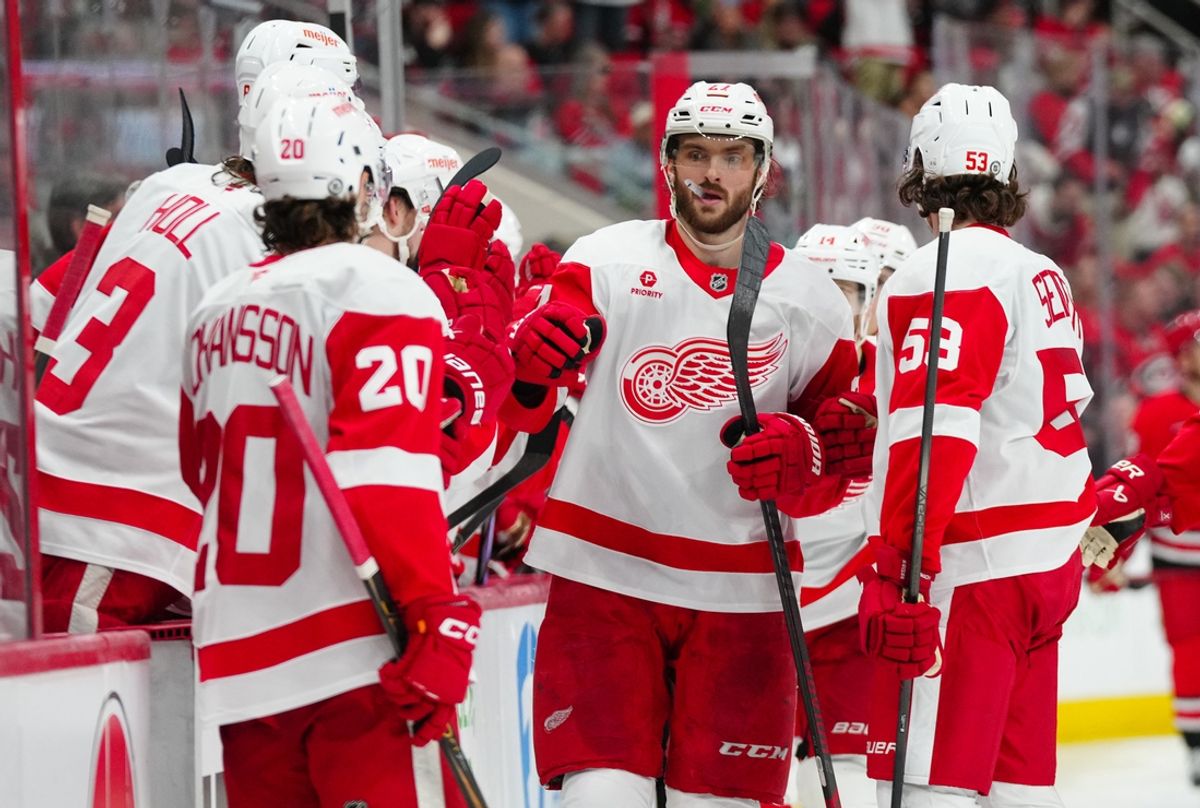 Mar 14, 2025; Raleigh, North Carolina, USA;  Detroit Red Wings center Michael Rasmussen (27) celebrates his goal against the Carolina Hurricanes during the third period at Lenovo Center. Mandatory Credit: James Guillory-Imagn Images
