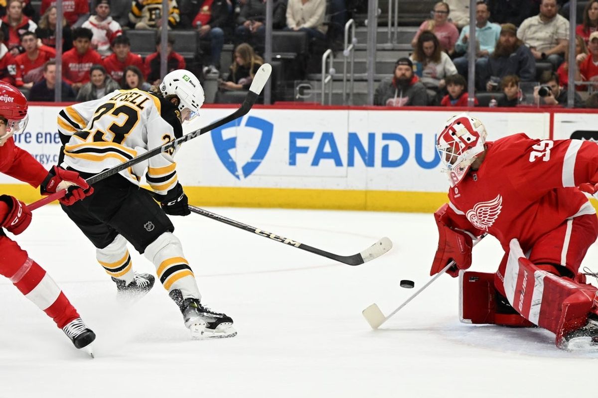 Mar 29, 2025; Detroit, Michigan, USA; Detroit Red Wings goaltender Cam Talbot (39) makes a save against Boston Bruins right wing Fabian Lysell (23) in the first period at Little Caesars Arena. Mandatory Credit: Lon Horwedel-Imagn Images