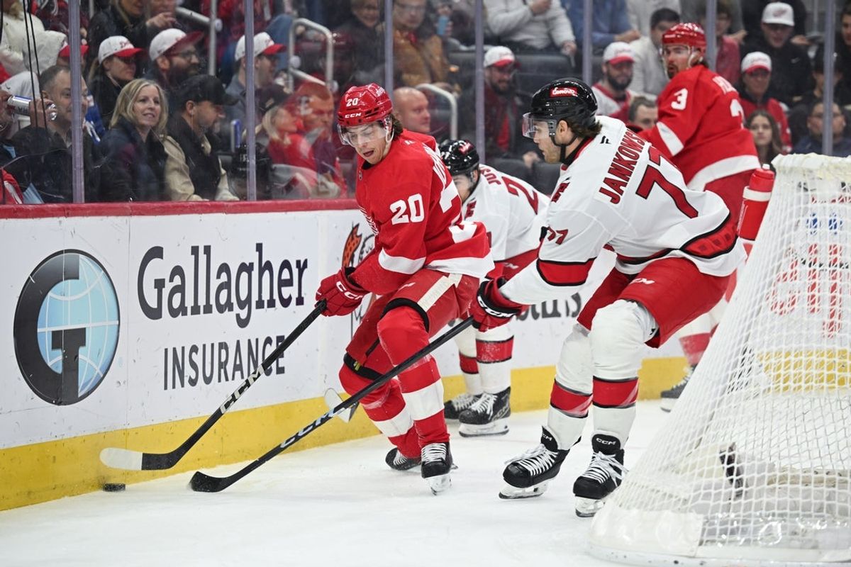 Apr 4, 2025; Detroit, Michigan, USA; Detroit Red Wings defenseman Albert Johansson (20) Carolina Hurricanes center Mark Jankowski (77) battle for the puck during the first period at Little Caesars Arena. Mandatory Credit: Tim Fuller-Imagn Images