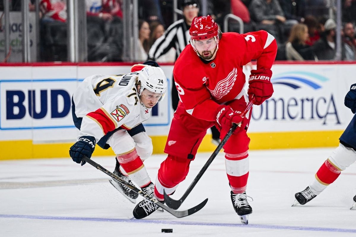 Apr 6, 2025; Detroit, Michigan, USA; Detroit Red Wings defenseman Justin Holl (3) brings the puck up ice against Florida Panthers center Rasmus Asplund (74) during the second period at Little Caesars Arena. Mandatory Credit: Tim Fuller-Imagn Images