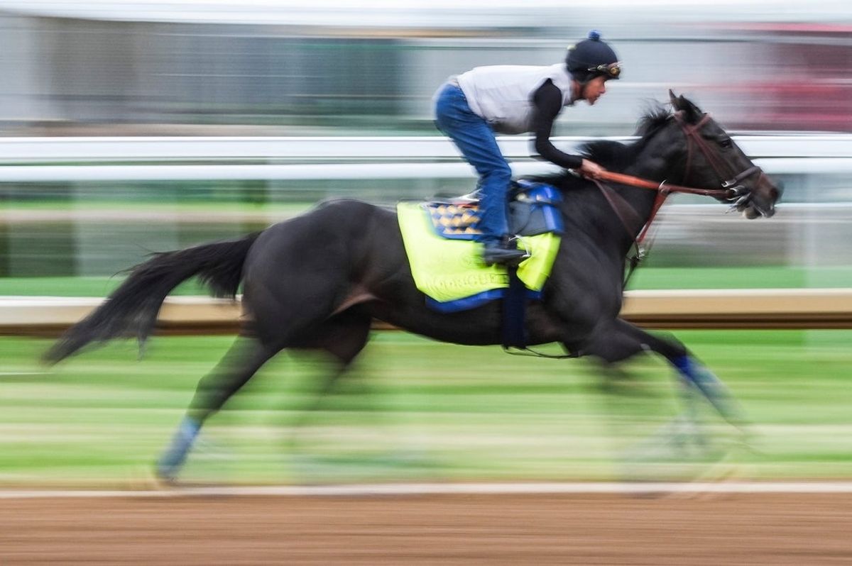 2025 Kentucky Derby contender Rodriguez, trained by Bob Baffert, works April 30, 2025 at Churchill Downs in Louisville, Kentucky.