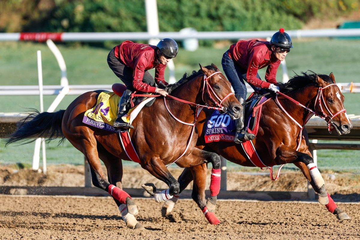 Oct 29, 2025; Del Mar, CA, USA; Forever Young trains with American Stage ahead of the 2025 Breeders Cup Championship at Del Mar Thoroughbred Club. Mandatory Credit: David Frerker-Imagn Images