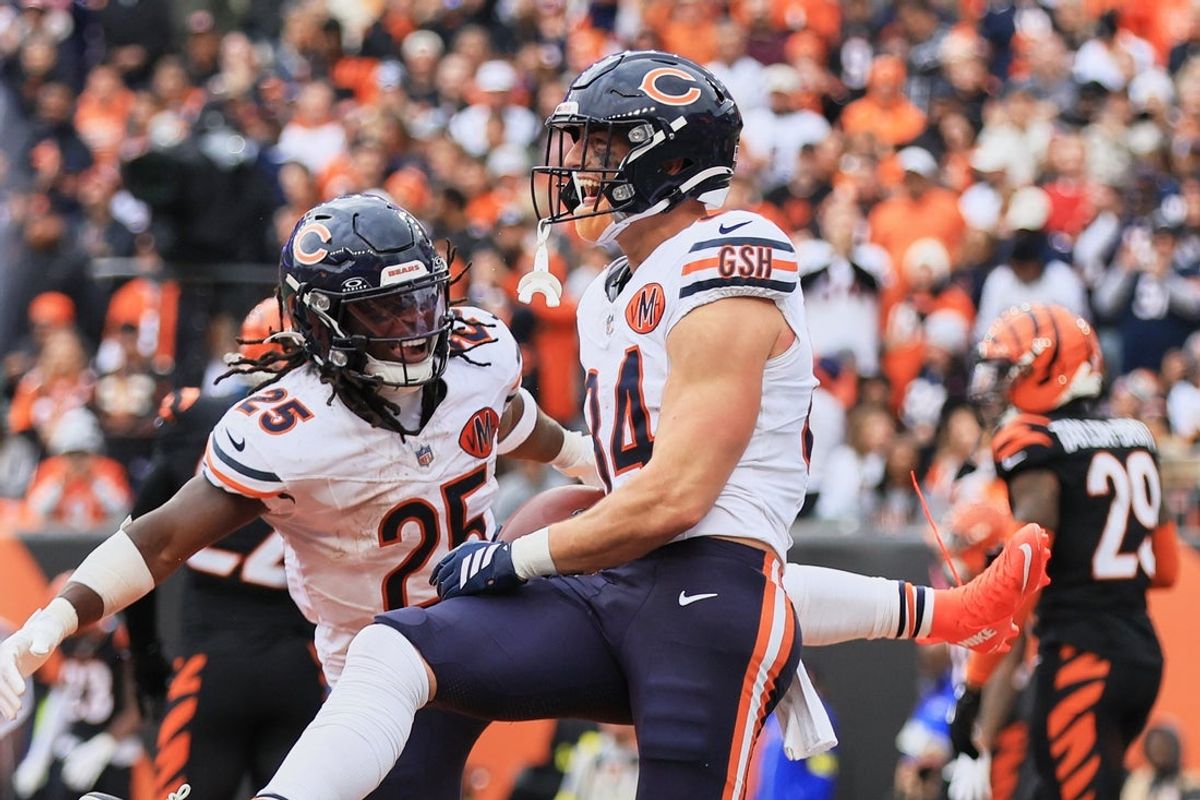 Nov 2, 2025; Cincinnati, Ohio, USA; Chicago Bears tight end Colston Loveland (84) celebrates with wide receiver Olamide Zaccheaus (14) after catching a 5-yard touchdown pass against the Cincinnati Bengals during the third quarter at Paycor Stadium. Mandatory Credit: Katie Stratman-Imagn Images