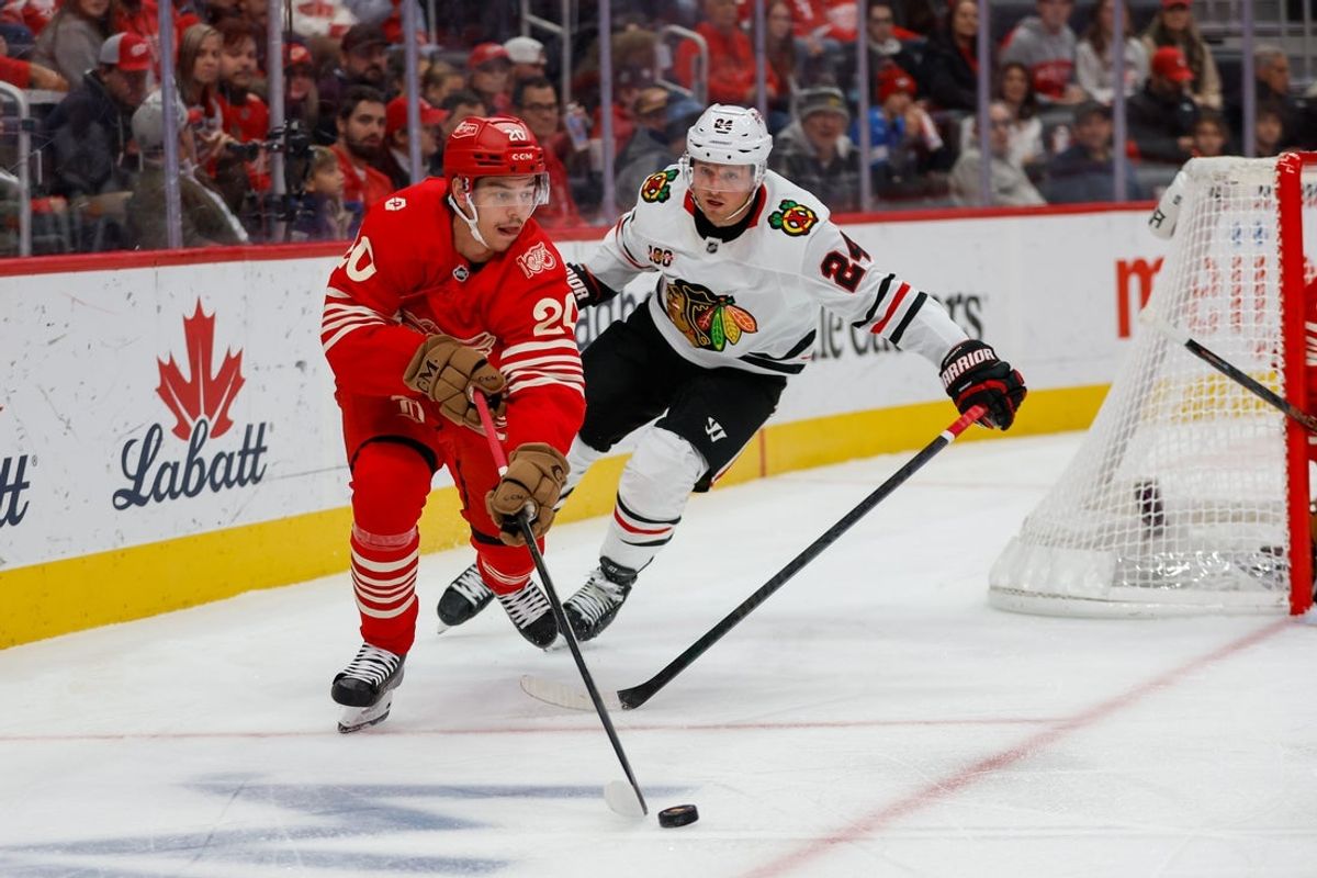 Nov 9, 2025; Detroit, Michigan, USA; Detroit Red Wings defenseman Albert Johansson (20) battles for the puck against Chicago Blackhawks center Sam Lafferty (24) during the first period at Little Caesars Arena. Mandatory Credit: Brian Bradshaw Sevald-Imagn Images