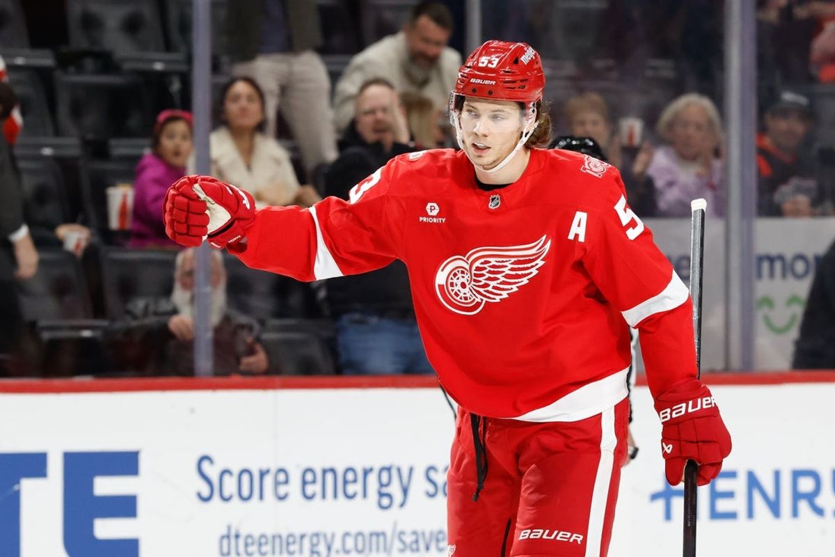 Nov 13, 2025; Detroit, Michigan, USA;  Detroit Red Wings defenseman Moritz Seider (53) celebrates after scoring in the second period against the Anaheim Ducks at Little Caesars Arena. Mandatory Credit: Rick Osentoski-Imagn Images