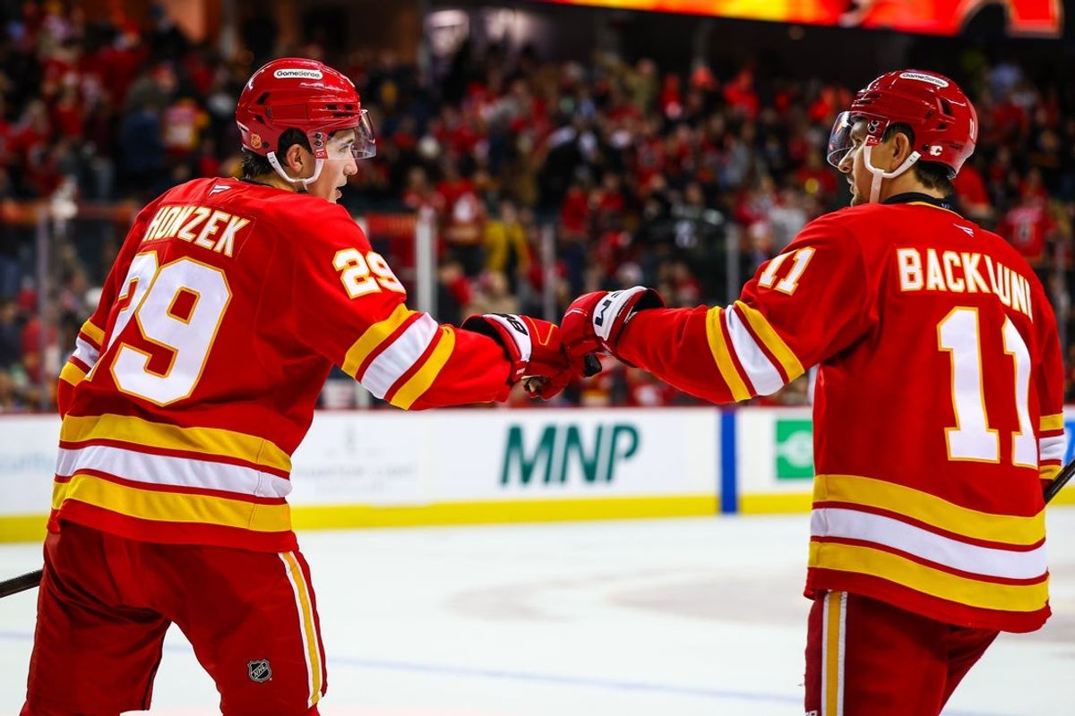 Nov 13, 2025; Calgary, Alberta, CAN; Calgary Flames left wing Samuel Honzek (29) celebrates his goal with center Mikael Backlund (11) during the third period against the San Jose Sharks at Scotiabank Saddledome. Mandatory Credit: Sergei Belski-Imagn Images