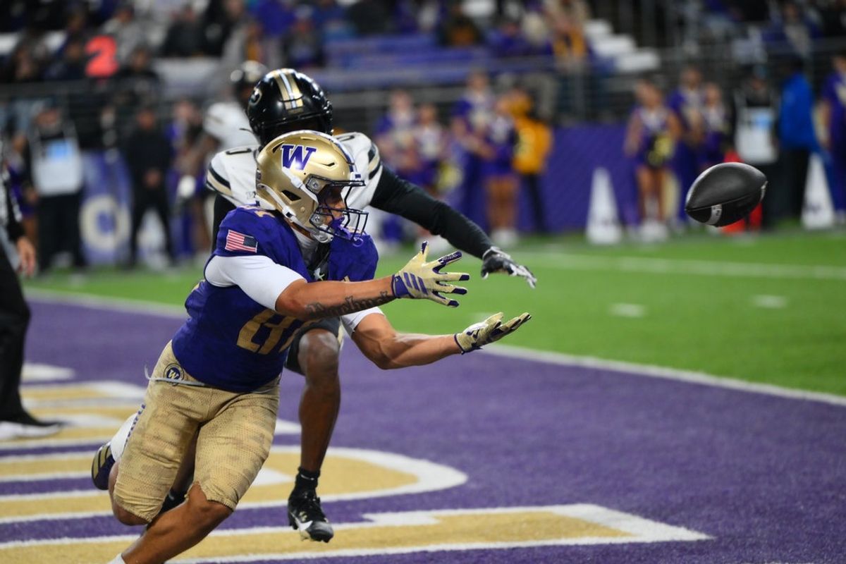 Nov 15, 2025; Seattle, Washington, USA; Washington Huskies wide receiver Dezmen Roebuck (81) catches a pass for a touchdown against the Purdue Boilermakers during the second half at Husky Stadium. Mandatory Credit: Steven Bisig-Imagn Images