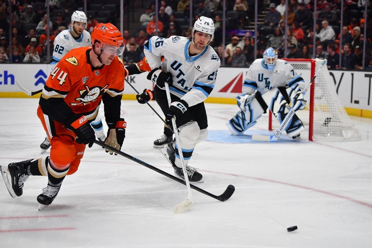Nov 17, 2025; Anaheim, California, USA; Anaheim Ducks left wing Ross Johnston (44) plays for the puck against Utah Mammoth defenseman Dmitri Simashev (26) during the second period at Honda Center. Mandatory Credit: Gary A. Vasquez-Imagn Images