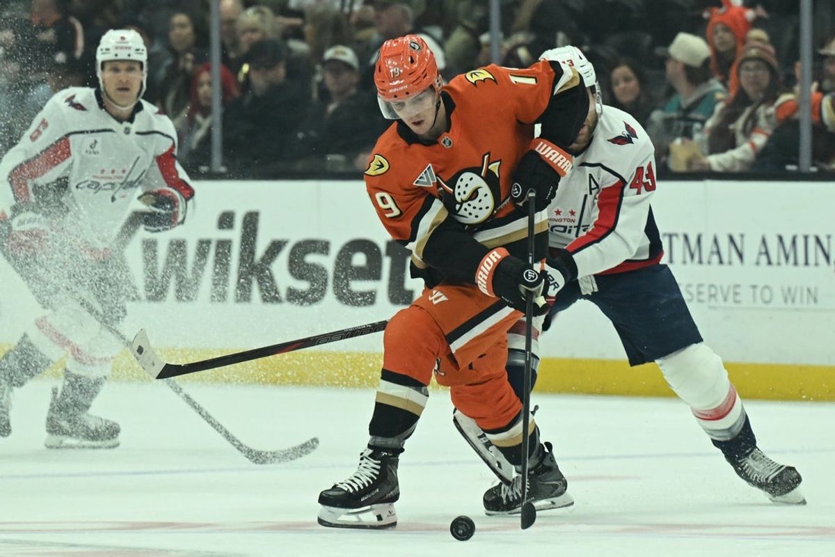 Dec 5, 2025; Anaheim, California, USA;  Anaheim Ducks right wing Troy Terry (19) and Washington Capitals right wing Tom Wilson (43) battle for the puck during the first period at Honda Center. Mandatory Credit: Griffin Hooper-Imagn Images